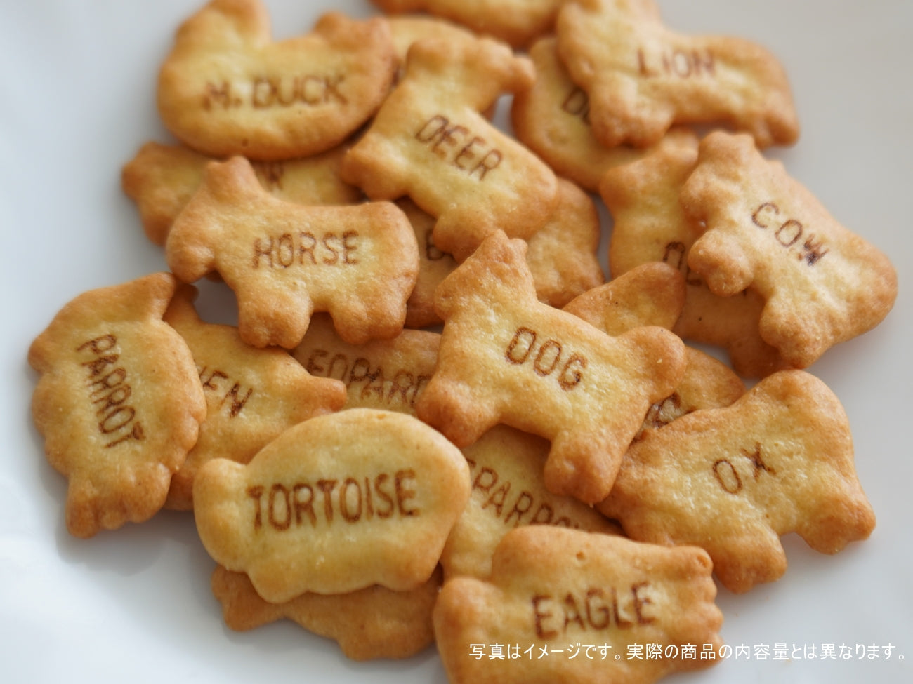 Ginbis Tabekko Animal Butter Flavor 63g