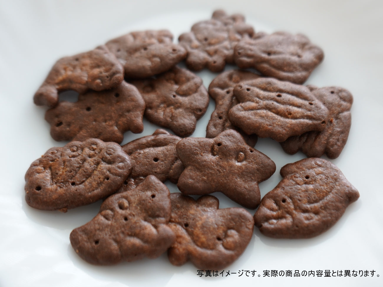 Ginbis Tabekko Aquarium 50g