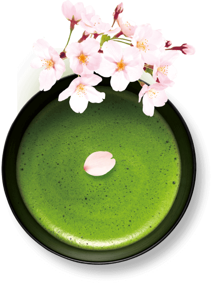 Glico Pocky Sakura Matcha (8 Packs)