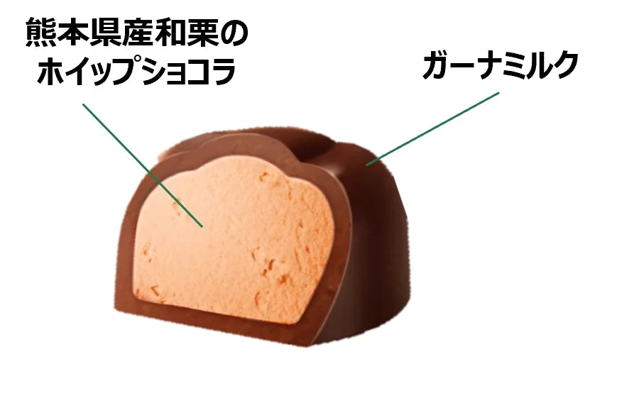 Lotte Premium Ghana Chocolate – Japanese Chestnut Mont Blanc
