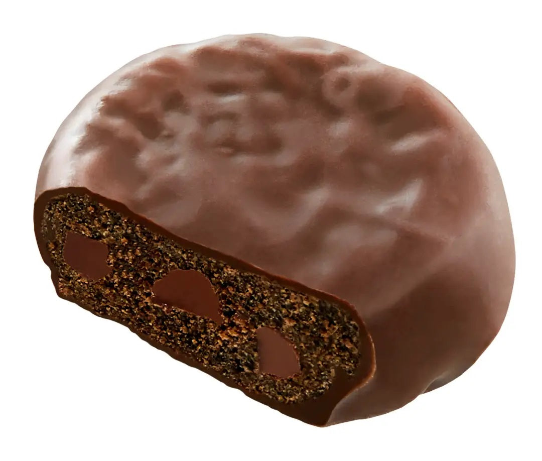 Fujiya Country Ma'am Choco Mamire (48g)