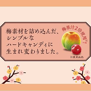 Lotte Koume Plum Candy Bag 60g