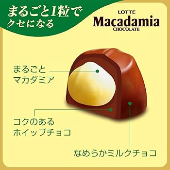 Lotte Macadamia Chocolate (9 Pieces)