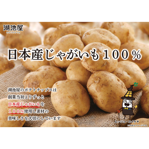 Koikeya Slim Bag Stick Karamucho Hot Chili Flavor (34g)