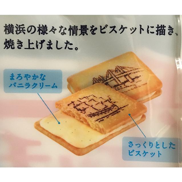 Takara Seika Yokohama Romance Sketch – Vanilla Cream (118g)