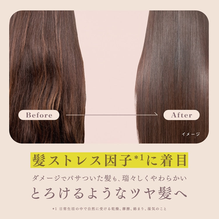 Kao Melt Moist Shampoo