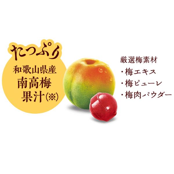 Lotte Koume Plum Candy Bag 60g