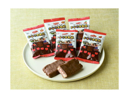 Fujiya Home Pie Choco Darake – Burari Japan Trip Aomori Edition