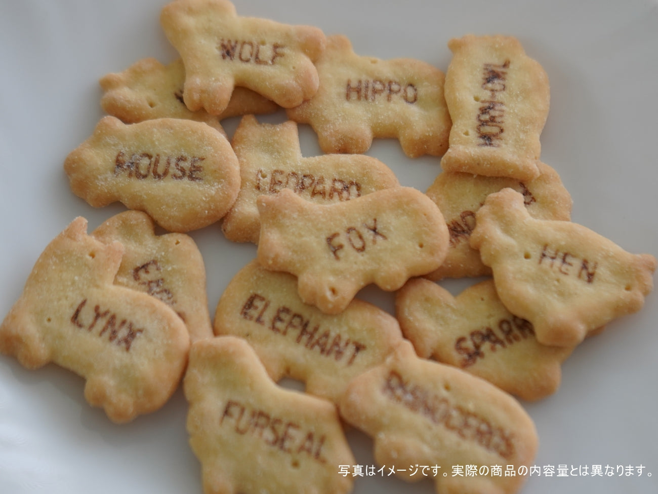 Ginbis Tabekko Animal Premium Milk Flavor 50g