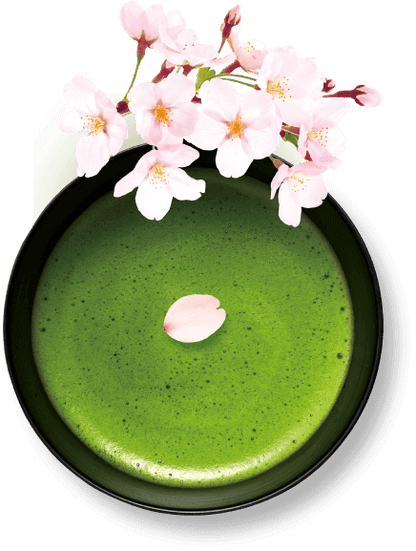 Glico Pocky Sakura Matcha (8 Packs)