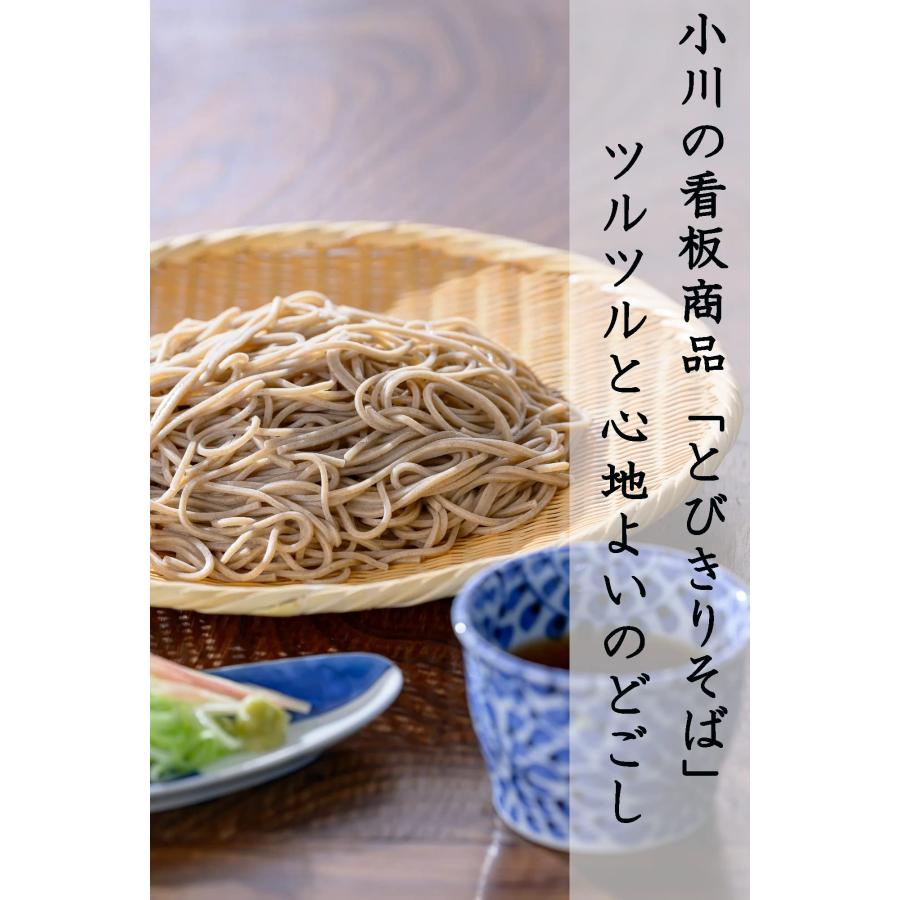 Nisshin Welna Ogawa Seimen Yamagata Tobikiri Soba (450g)