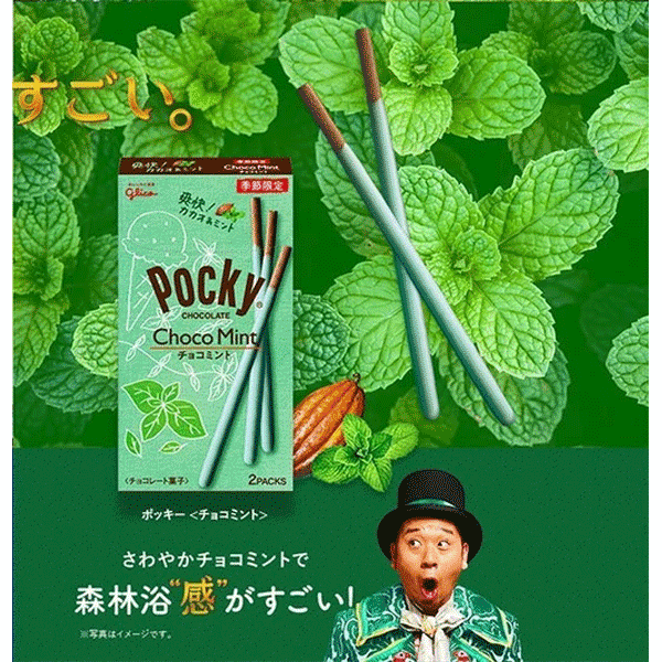 Glico Pocky Chocolate Mint