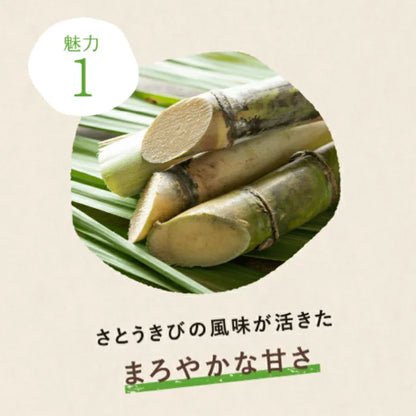 Nissin Seito Kibi Sugar Cup Sugar Five 5g × 20 Sticks