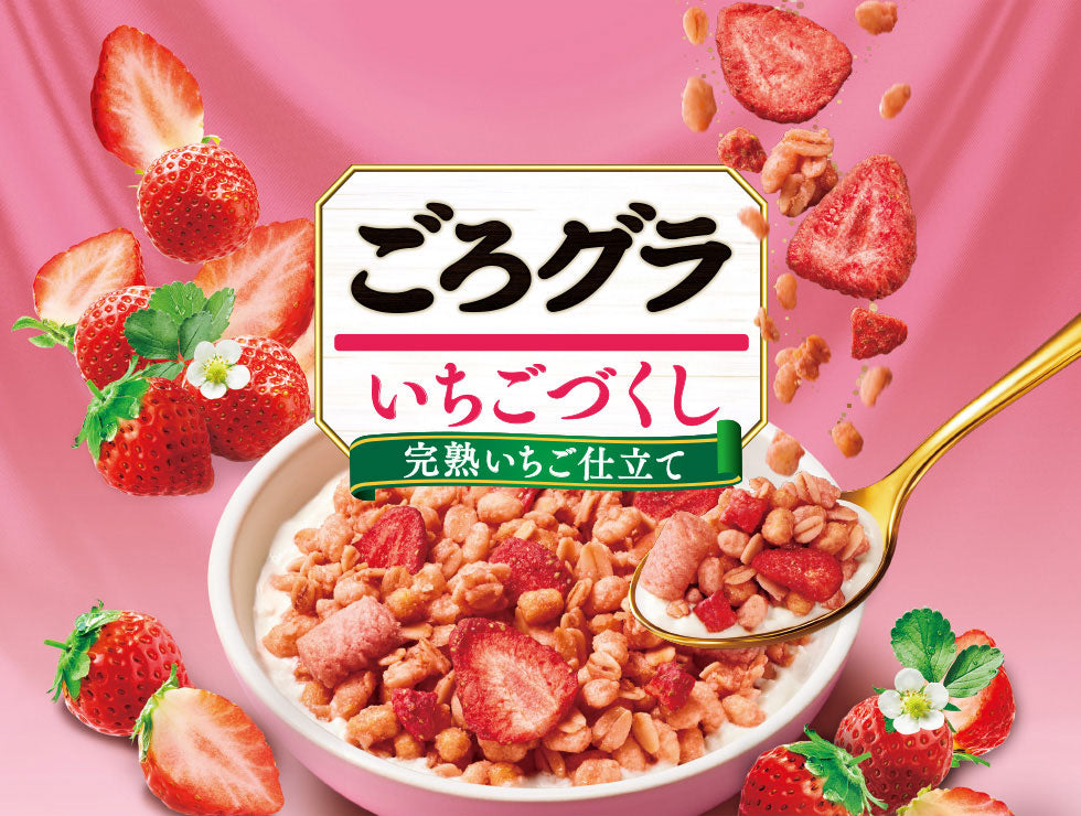 Nissin Cisco Gorogura Granola – Assorted Flavors