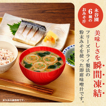 Nagatanien Freeze-Dried Miso Soup (8 packs)